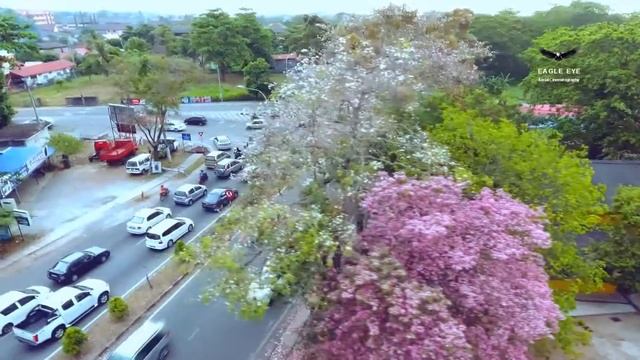 Drone Showreel - Alor Setar, Kedah смотреть онлайн