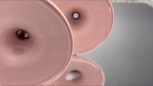 Именные ,свадебные бокалы в пыльно розовом цвете