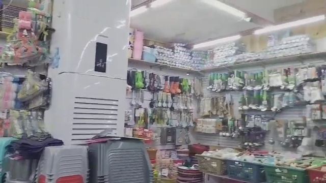 Apni 2 Din Ki Bati 10 Lac Main Sale Kar Di Ab Roti Hon ? Main Kia Karo
