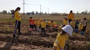 Дети и картошка. Баотоу. Китай. Children and potatoes. Baotou. China.