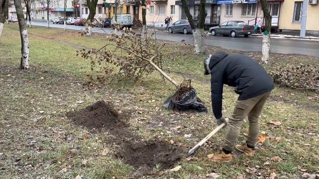Подготовка к зиме