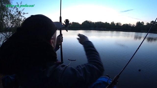 EDim на рыбалке! #58 17.05.2021г Пролёт в Кудиново и реванш на НМР. смотреть онлайн