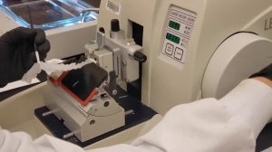 How to Section using a Microtome