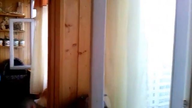 Сетка на балконные окна , если дома есть кошка смотреть онлайн