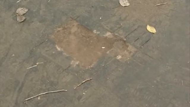 Ямочный ремонт в Ярославле последние недели не смотреть онлайн