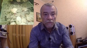 Стартовый корм для индюшат. Растем вместе.
