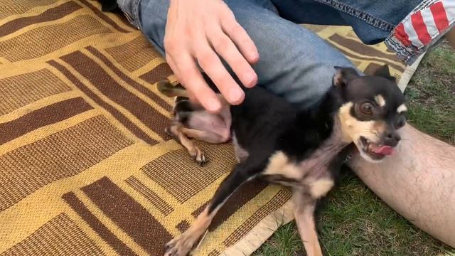 СБОРЫ НА ПРИРОДУ | КРАСОТЫ ПРИРОДЫ | СОЗДАЕТСЯ ОЧЕРЕДЬ VLOG:22.05.21