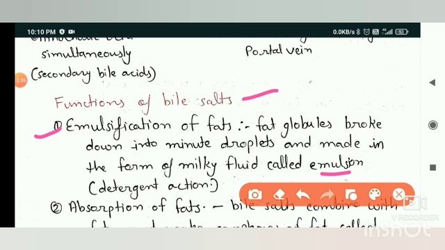liver and biliary system|GIT SYSTEM PART 5 смотреть онлайн