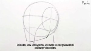 Проко - Как рисовать голову с различных углов. Часть 2 - Вид спереди