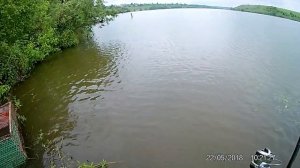 Рыбалка в Потуданском пруду (село Потудань, Старооскольский округ)