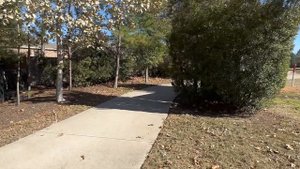 Америка, Техас. Жизнь в Америке - Вудфорест парки.