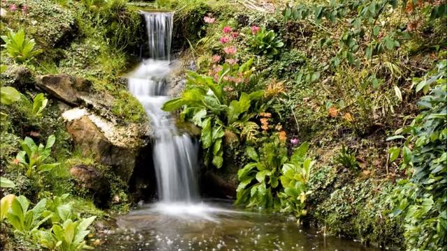 Частный сад в Саутленд, Новая Зеландия смотреть онлайн