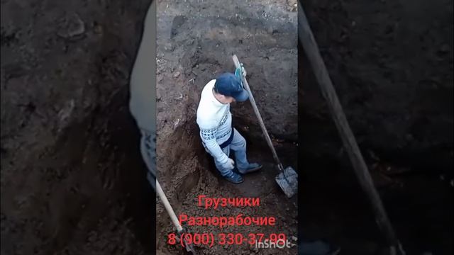 Василий любит работать ? смотреть онлайн