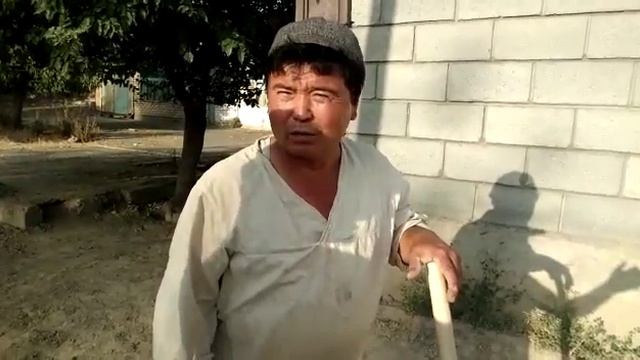 "Кулуп кой " смотреть онлайн