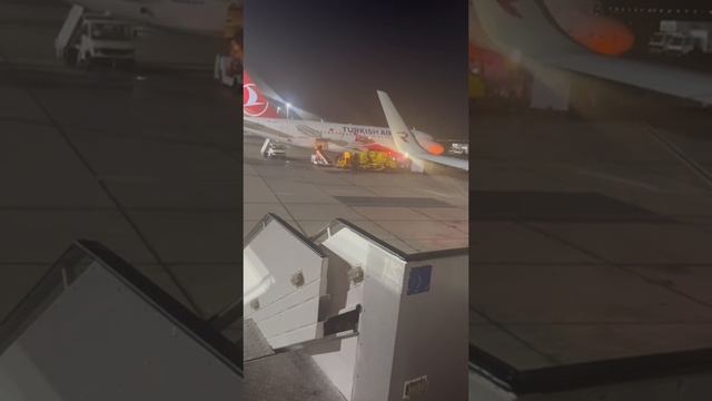 Airbus A-319 а/к Turkish Airlines в аэропорту Шарм-эль-Шейха в Египте