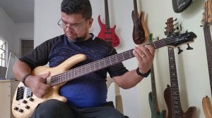 Baixo cort Action DLX V A Circuito sonorus cp600