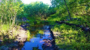 Копаю прудик лопатой! [Разметил место и начал копать большой пруд]