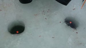 Зимняя рыбалка в палатке 2019. Ловля полотвы со льда.