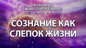 Сознание как слепок жизни #слепокжизни #Гарат #Сознание3 #Алхимияживотворения