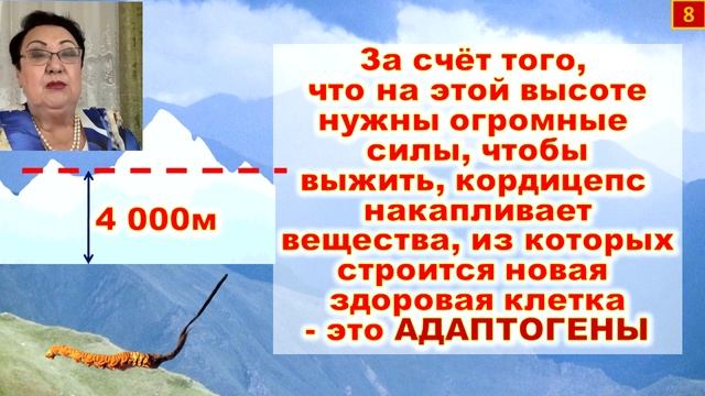 Уникальная неповторимая продукция FOHOW и супер-технологии - Мадина Касимовна Ибрагимова о ФЕНИКС