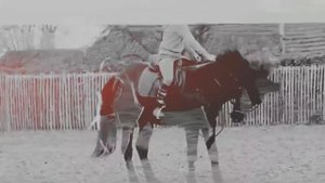 Только вперёд l Конный спорт