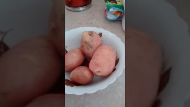 Приготовление мешанки часть 1 смотреть онлайн