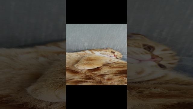 Балдежница