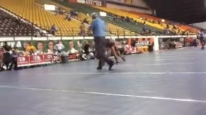 2016 USAW West Regional-FR CADET 120: 4a Dawson Sihavong-CA vs Noah Wachsmuth-OR Qtrs