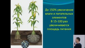 Как устроена биология почвы