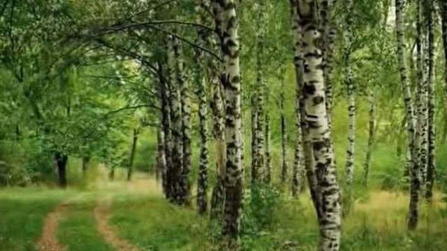 Деревня родная..., Стихи Элина Умрихина, муз. и исп. #СамуилФрумович.wmv