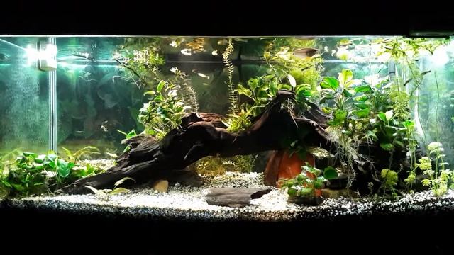 2 April 2019 / музыка без авторских прав для фона для релаксации смотреть онлайн