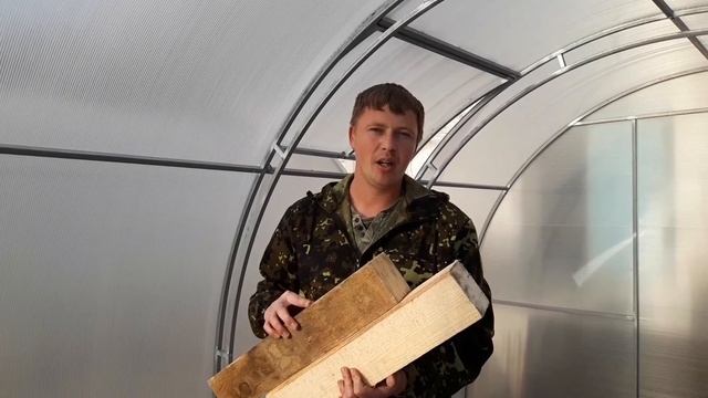Как отличить лиственницу от сосны. Краткий обзор.