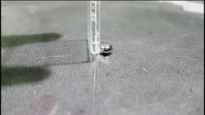 Поверхностное натяжение