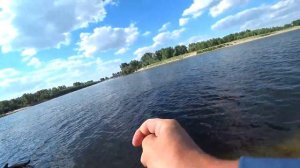 3 ДНЯ КОРМИЛИ ЯМУ. ЛОВЛЯ САЗАНА И СОМА НА ЗАКИДУШКИ. Рыбалка на Ахтубе 2021.