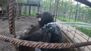 Вот такая сейчас Маша.