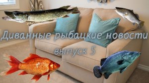 Рыбацкие диванные новости 5