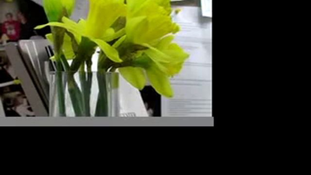 Flowers in the Office смотреть онлайн