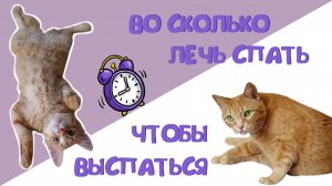 Во сколько лечь спать чтобы выспаться? #shorts