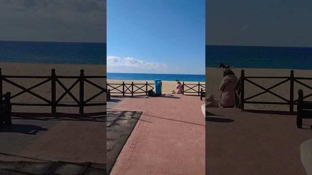 Турция 2023. Жизнь в Алании. Погода в Турции,февраль. Sun Day Homes.#shorts смотреть онлайн