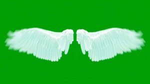 Angel wings green screen