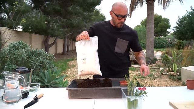 Usa el ALOE VERA para ENRAIZAR Tus Plantas | Esta Planta Vale MILLONES | Ignacio Solano смотреть онлайн