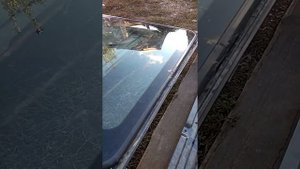 ремонт люка форестер сф5