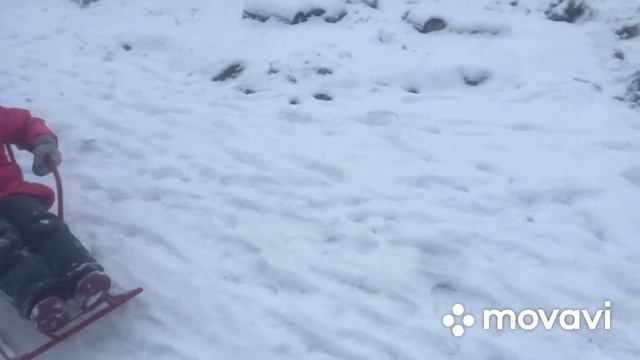Дрожжевание|корм для кур|наши девчоночки несутся 😀🐥🐣🐤🐔