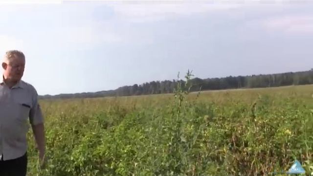 Платили как все, а собирать будут что придётся смотреть онлайн