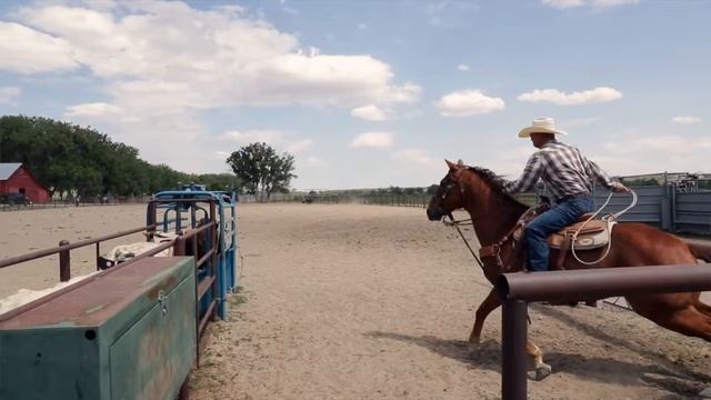 Avoid a Replacement , think outside THE BOX! смотреть онлайн