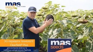 Особливості гібриду соняшника MAS 92.CP.