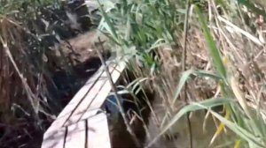 Первое видео не судите строго красота Албаши