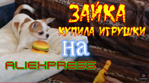 Игрушки для собак с aliexpress обзор