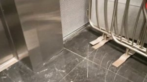 Музыкальный лифт на станции метро Аэропорт Внуково