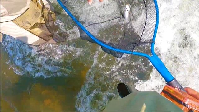 РЫБАЛКА НА РЕКЕ ТОМЬ , ЛОВИМ ХАРИУСА, НА УДОЧКИ НА ТИРОЛЬКУ, СРАБОТАЛА ОЛИВКОВАЯ МУШКА, ШИТИК. смотреть онлайн